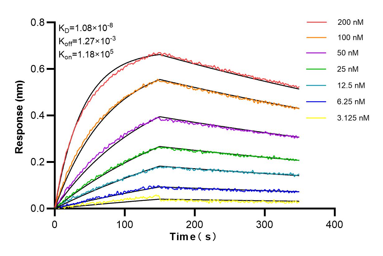 Affinity and Kinetic Characterization of 84608-4-PBS