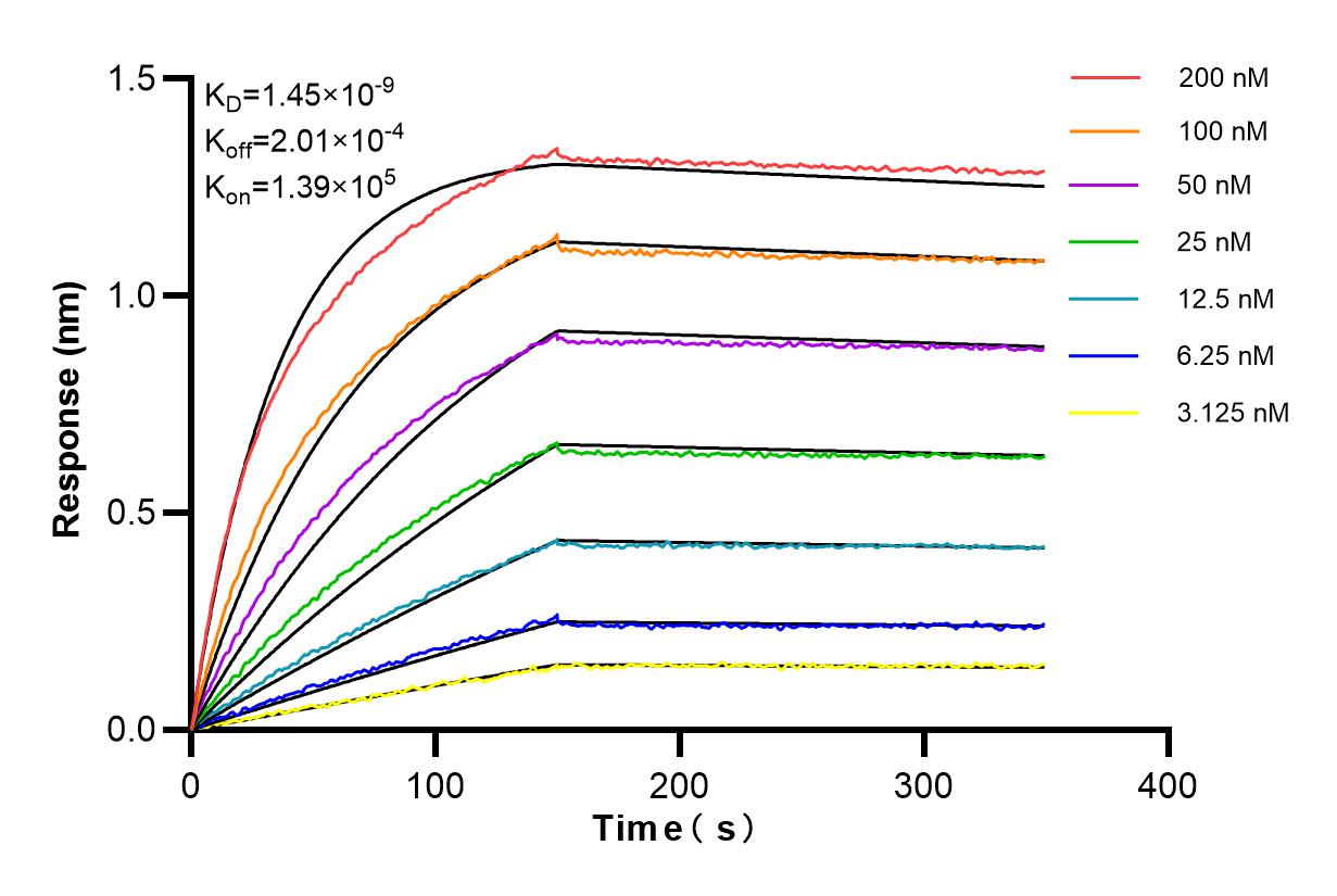 Affinity and Kinetic Characterization of 84608-5-RR
