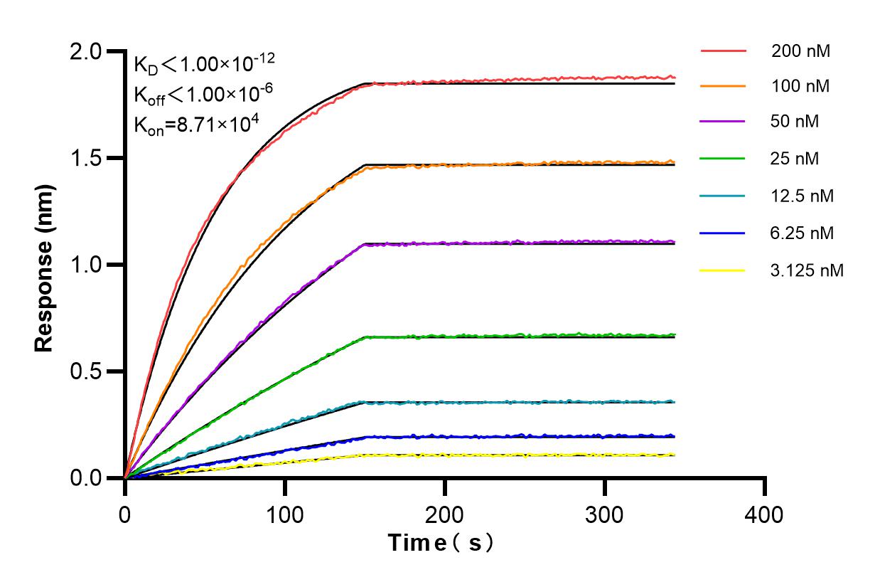 Affinity and Kinetic Characterization of 84613-2-RR