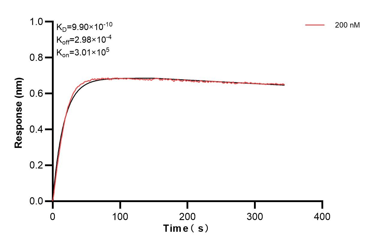 Affinity and Kinetic Characterization of 84649-2-PBS