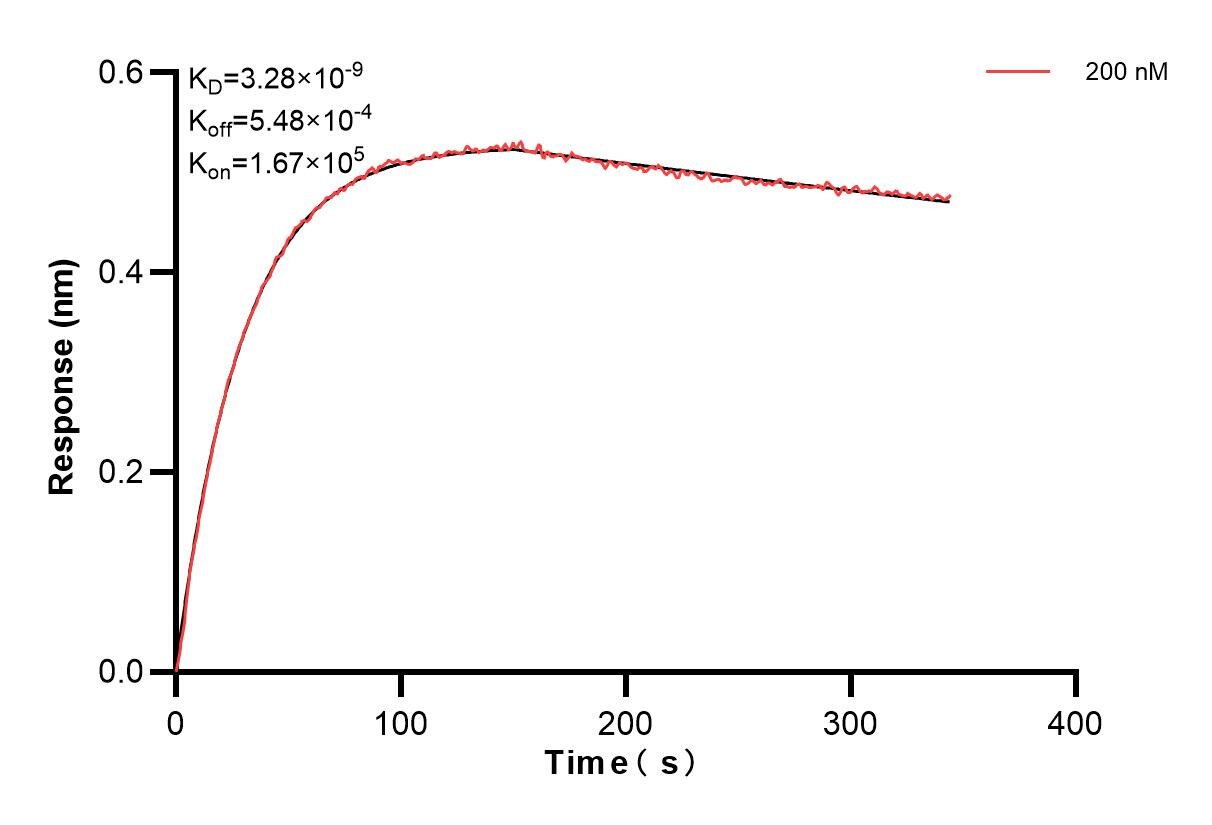 Affinity and Kinetic Characterization of 84649-3-PBS