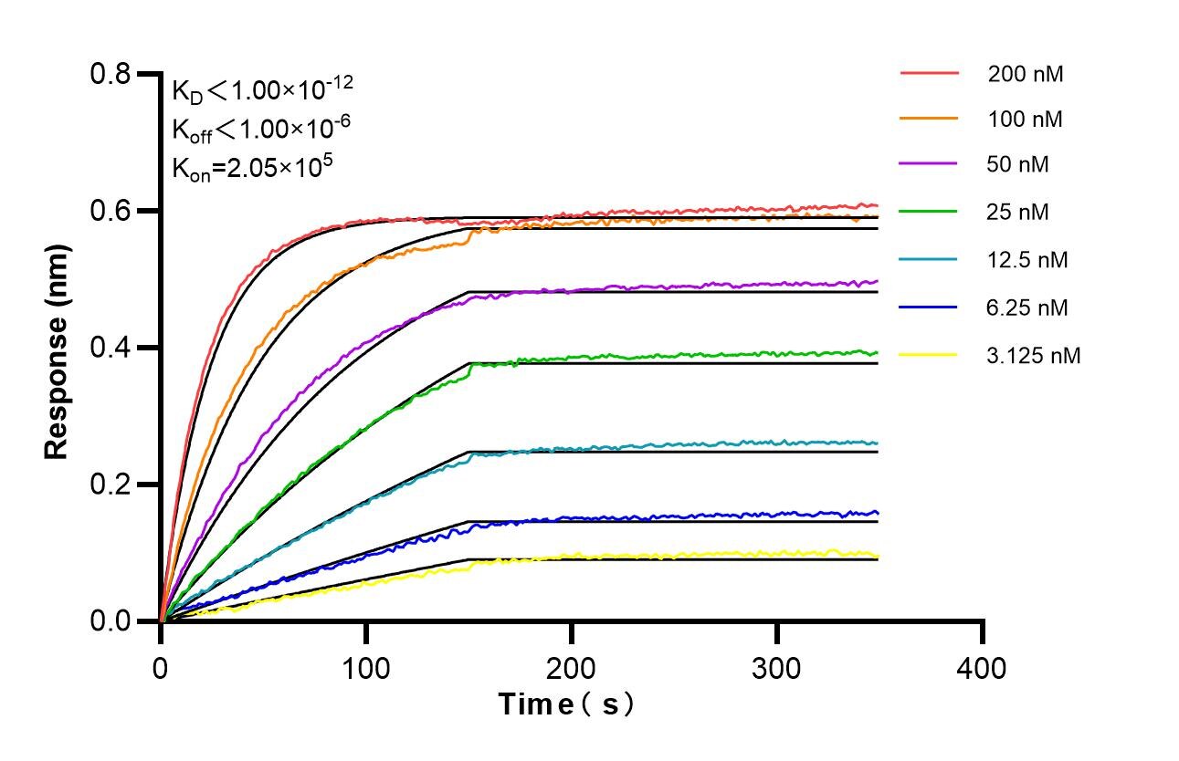 Affinity of 84662-4-RR
