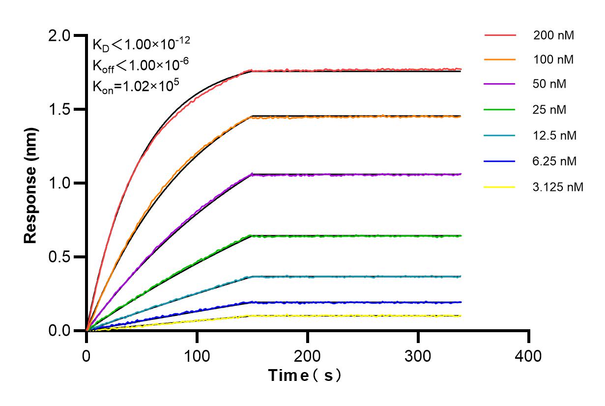 Affinity and Kinetic Characterization of 84664-3-RR