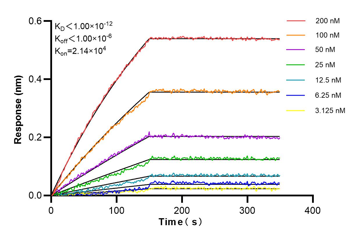 Affinity and Kinetic Characterization of 84664-4-RR