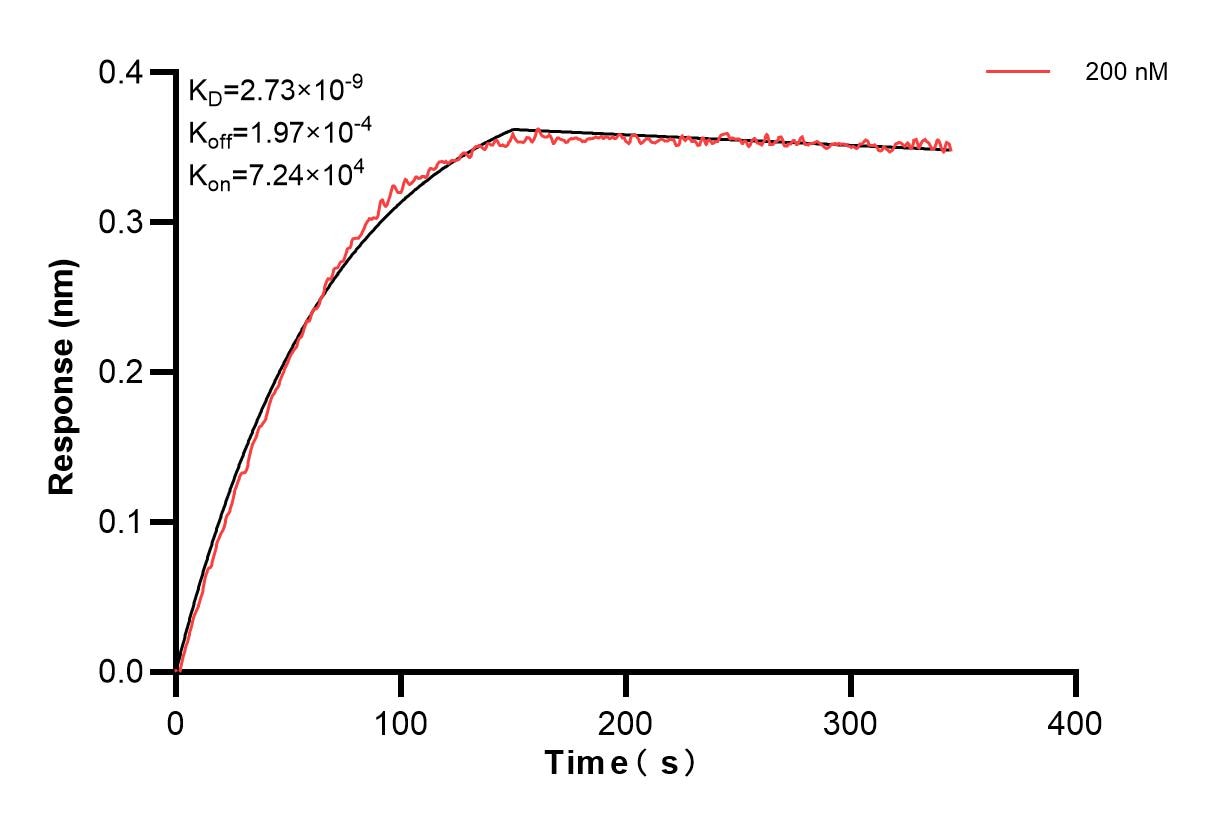 Affinity and Kinetic Characterization of 84673-3-PBS