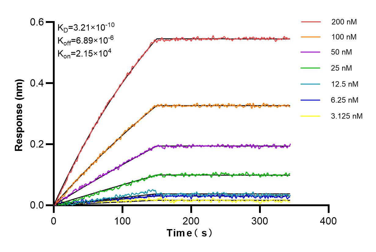 Affinity and Kinetic Characterization of 84678-4-RR