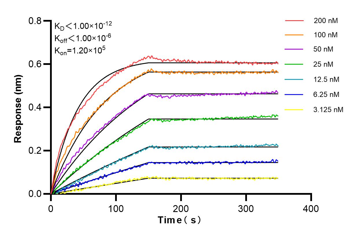 Affinity and Kinetic Characterization of 84686-4-RR