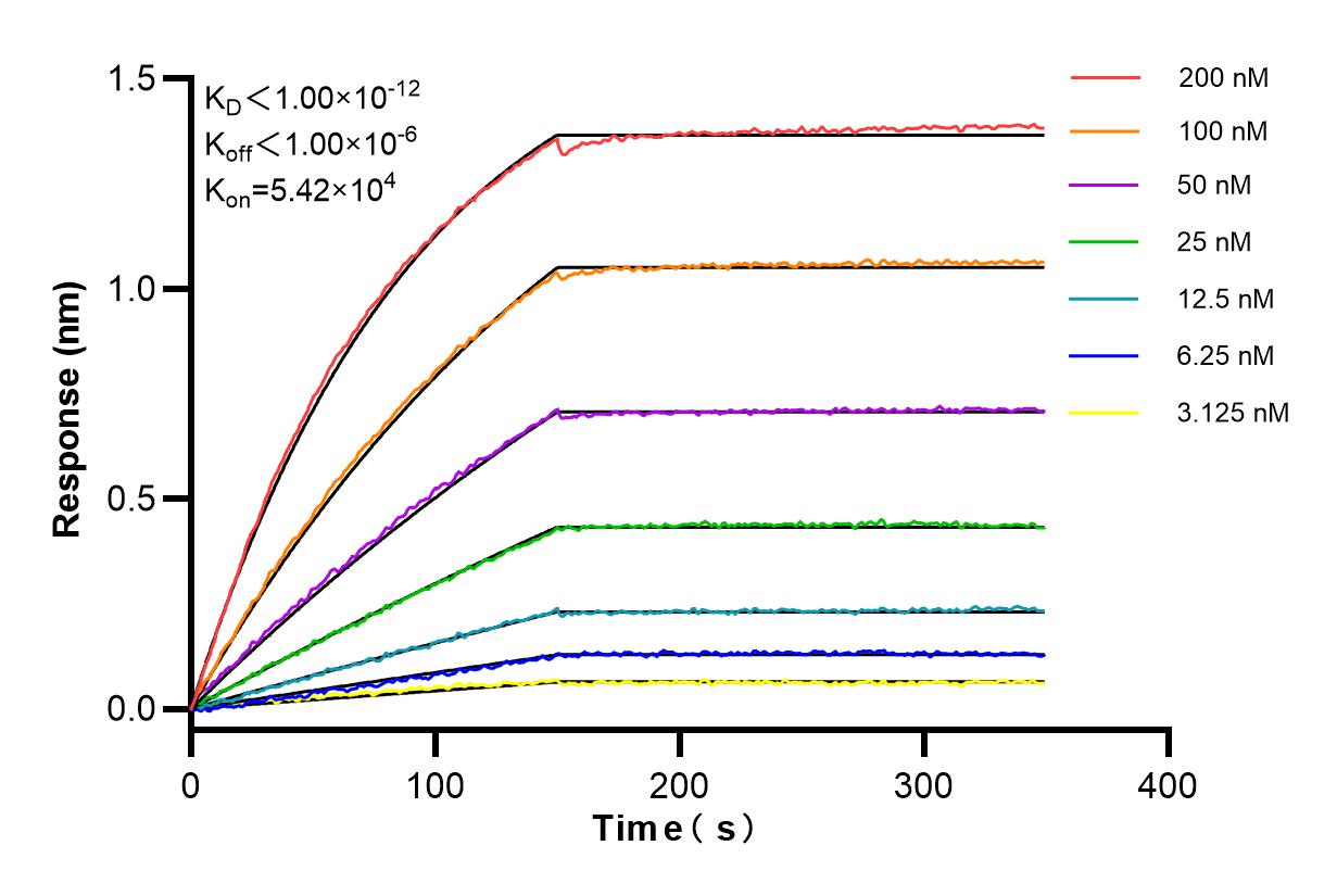 Affinity and Kinetic Characterization of 84690-1-RR