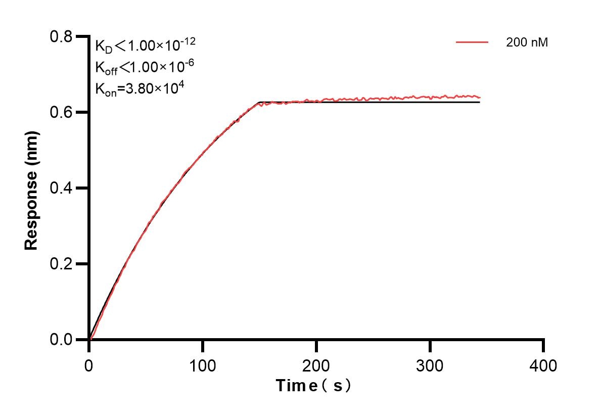 Affinity and Kinetic Characterization of 84700-3-PBS