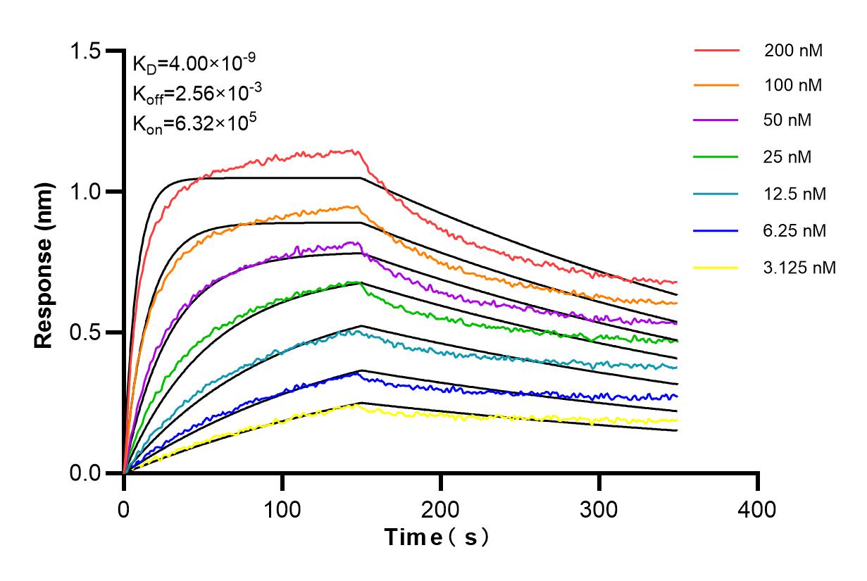 Affinity and Kinetic Characterization of 84701-1-RR