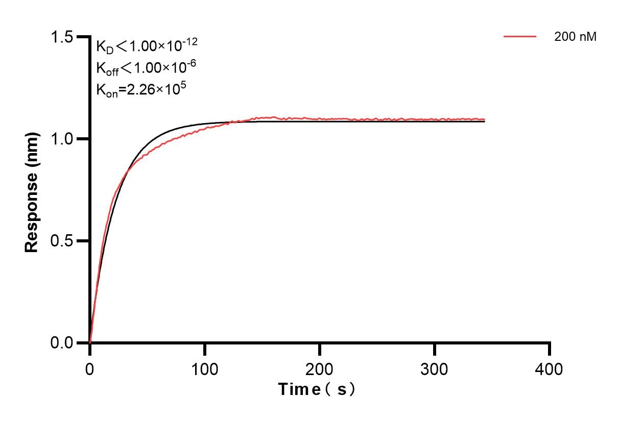 Affinity and Kinetic Characterization of 84703-1-PBS
