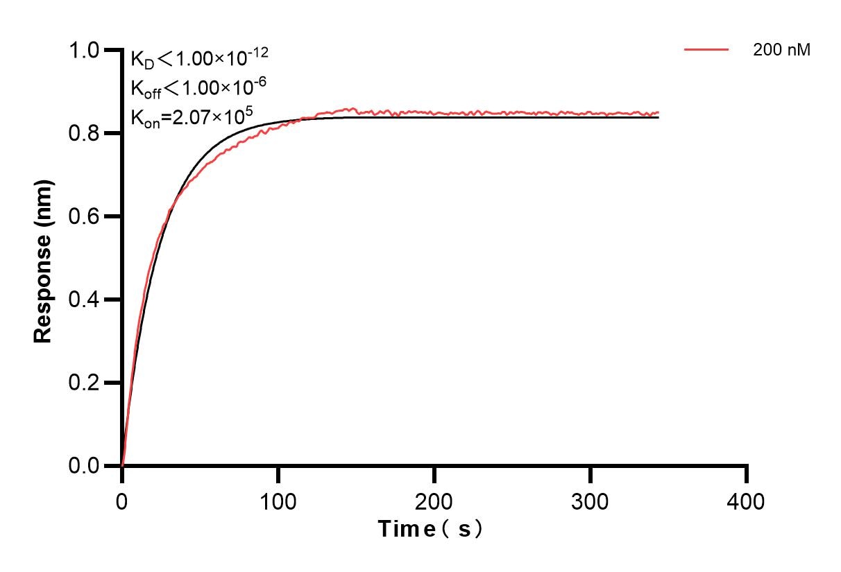 Affinity and Kinetic Characterization of 84703-2-PBS