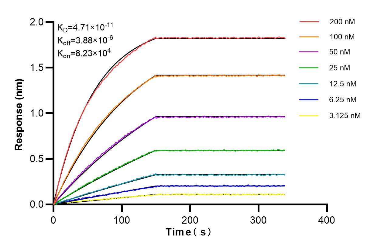 Affinity and Kinetic Characterization of 84710-3-RR