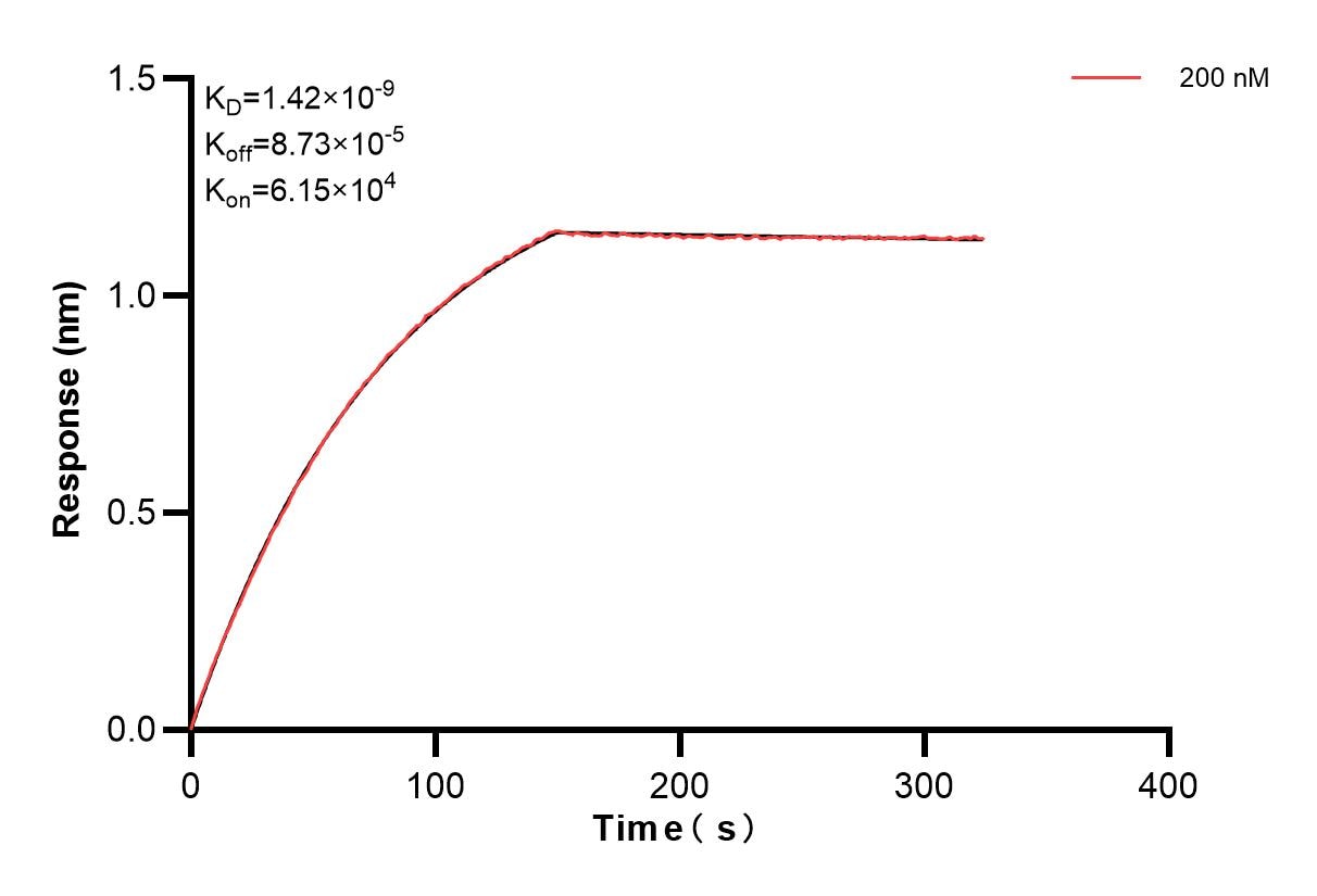 Biolayer interferometry (BLl) kinetic assay of 84714-5-PBS against Human WASP was performed. The affinity constant is 1.42 nM. Affinity of 84714-5-PBS