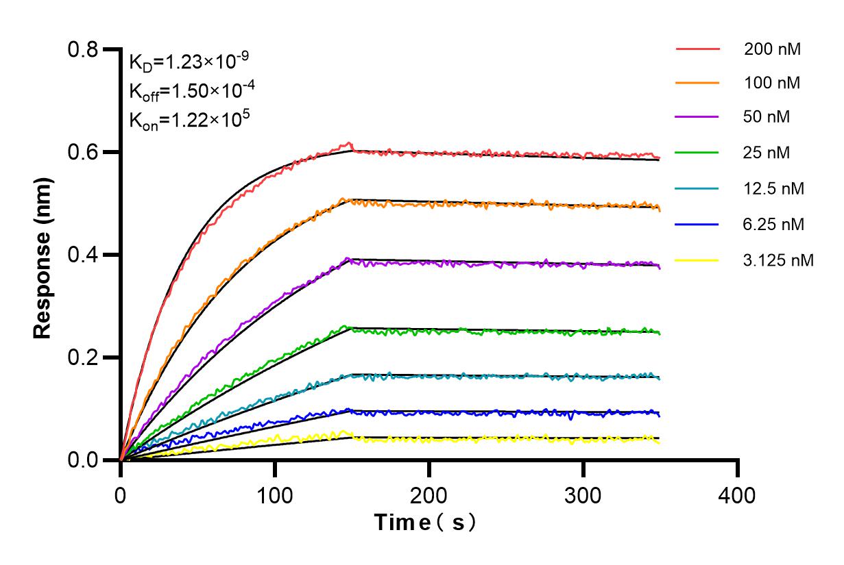 Affinity and Kinetic Characterization of 84727-5-RR
