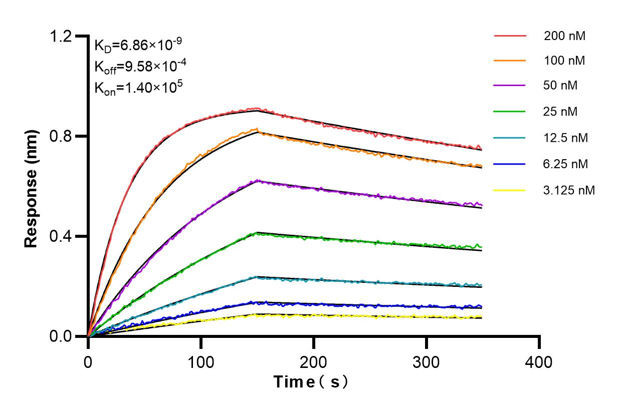 Affinity and Kinetic Characterization of 84732-2-RR