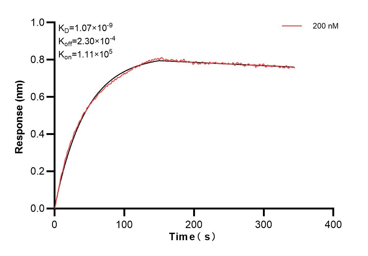 Affinity and Kinetic Characterization of 84734-1-PBS