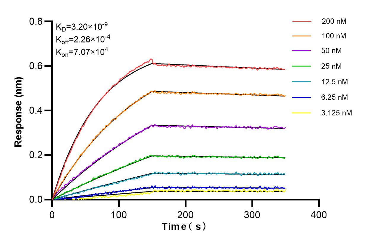 Affinity and Kinetic Characterization of 84757-3-RR