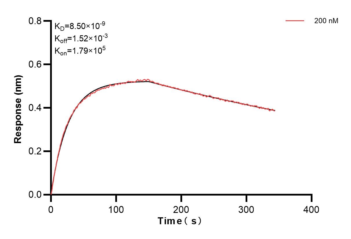Affinity and Kinetic Characterization of 84760-1-PBS
