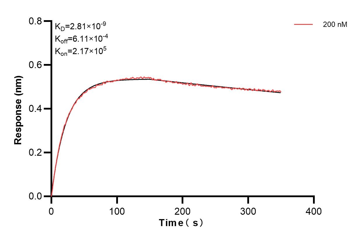 Affinity and Kinetic Characterization of 84760-2-PBS