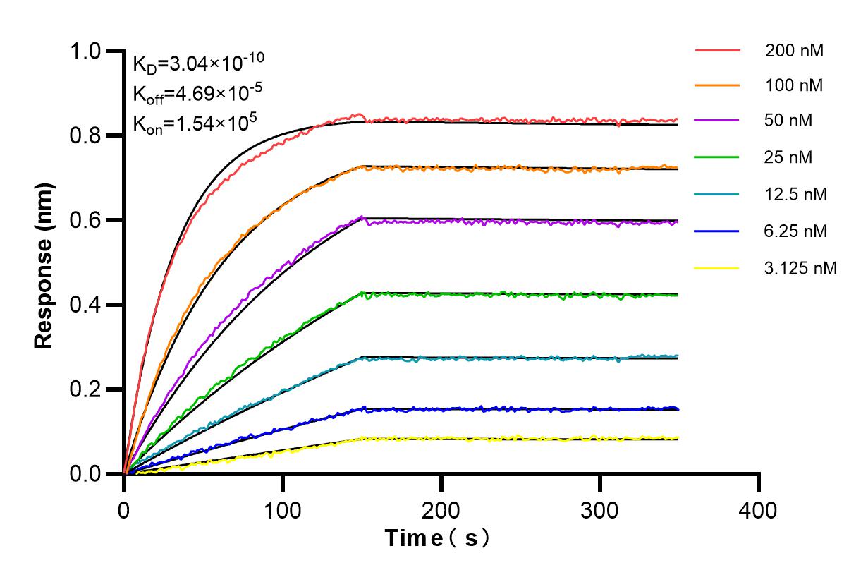 Affinity and Kinetic Characterization of 84760-4-RR