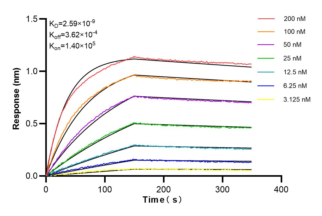 Affinity and Kinetic Characterization of 84761-2-RR