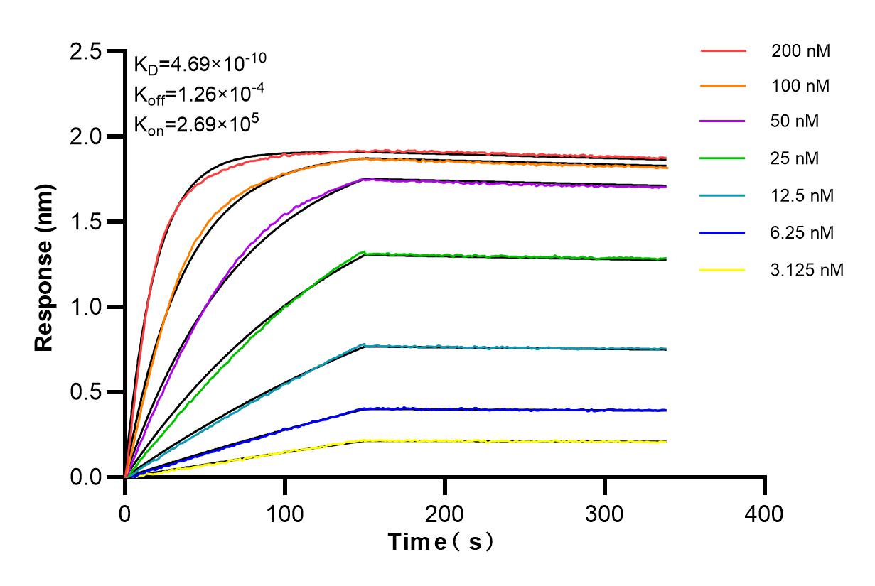 Affinity and Kinetic Characterization of 84764-3-RR