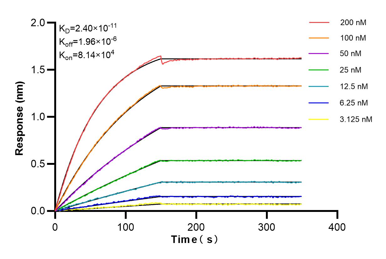 Affinity and Kinetic Characterization of 84765-4-RR