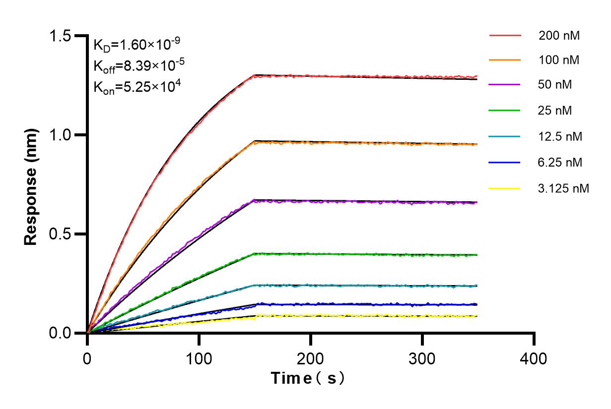 Affinity and Kinetic Characterization of 84766-3-RR