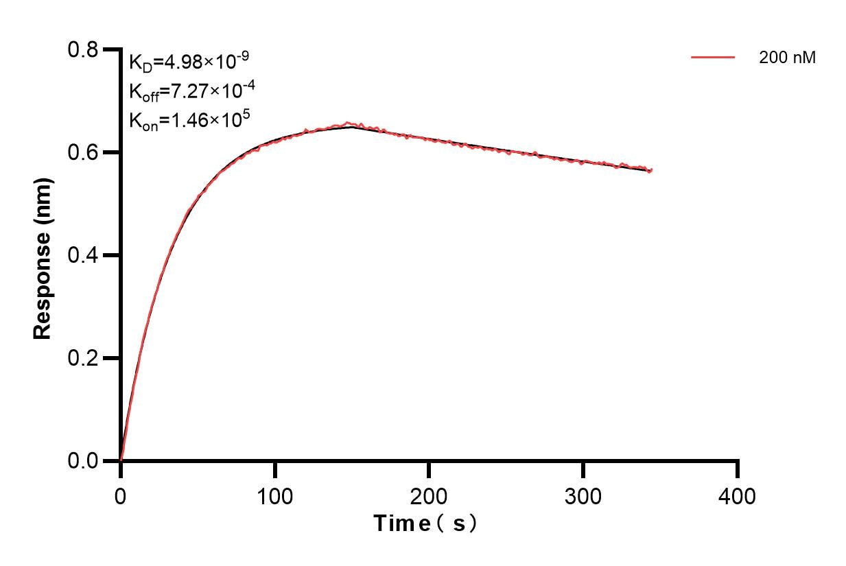 Affinity and Kinetic Characterization of 84767-1-PBS
