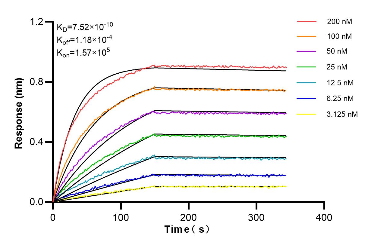 Affinity and Kinetic Characterization of 84771-4-RR