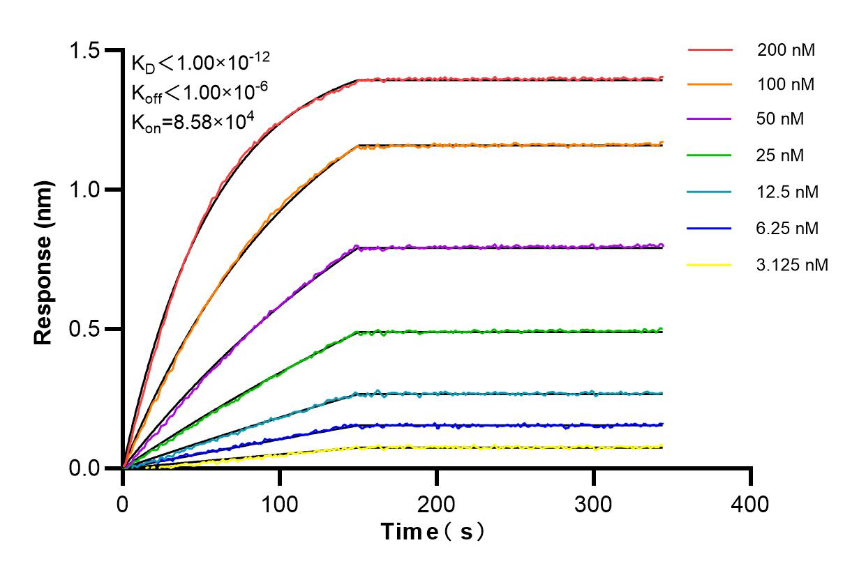Affinity and Kinetic Characterization of 84772-6-RR