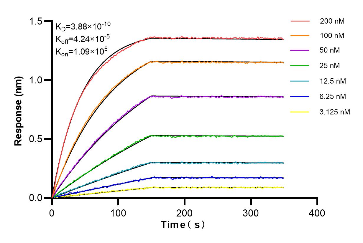 Affinity and Kinetic Characterization of 84776-2-RR