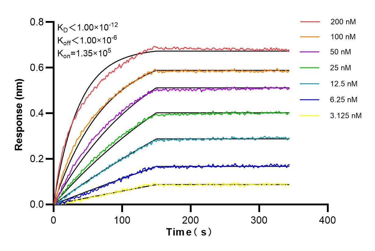 Affinity and Kinetic Characterization of 84778-2-RR