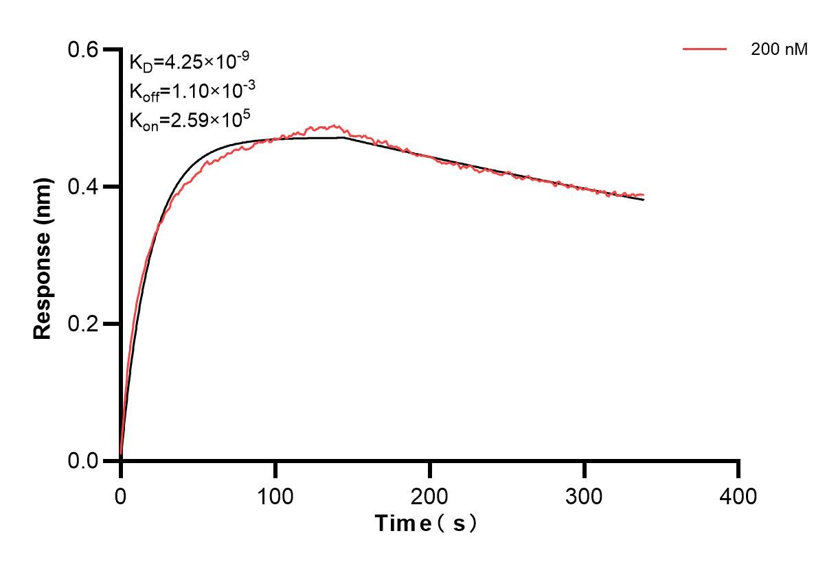 Affinity and Kinetic Characterization of 84784-3-PBS Affinity and Kinetic Characterization of 84784-3-PBS