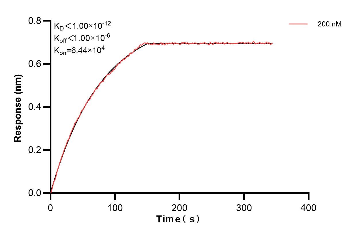 Affinity and Kinetic Characterization of 84792-1-PBS