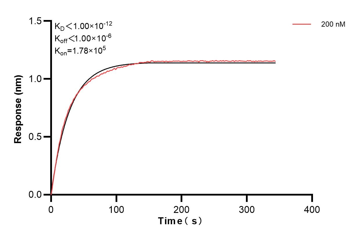 Affinity and Kinetic Characterization of 84792-3-PBS