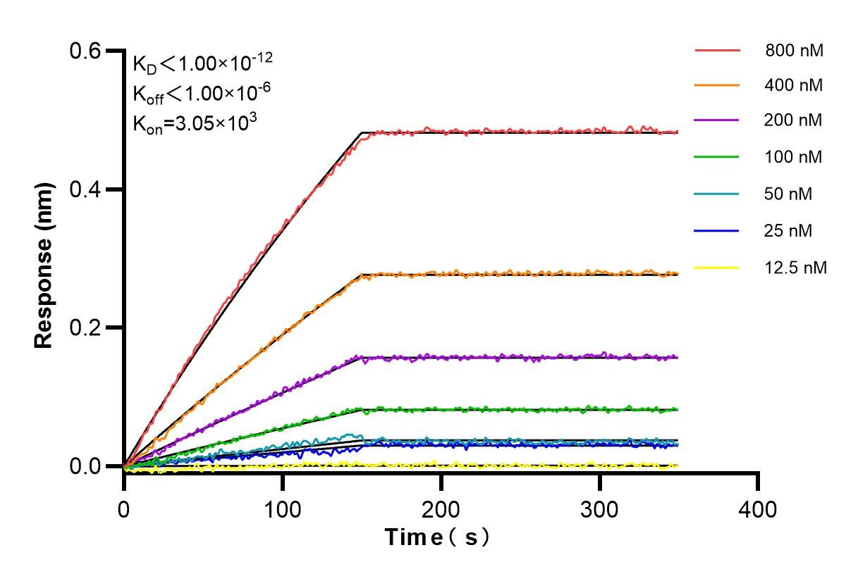 Affinity and Kinetic Characterization of 84800-4-RR