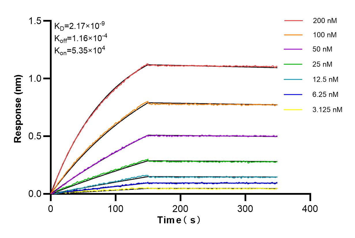 Affinity and Kinetic Characterization of 84803-4-RR