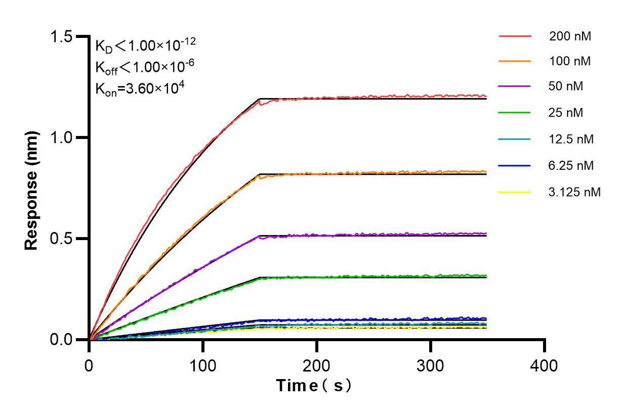 Affinity and Kinetic Characterization of 84835-2-RR