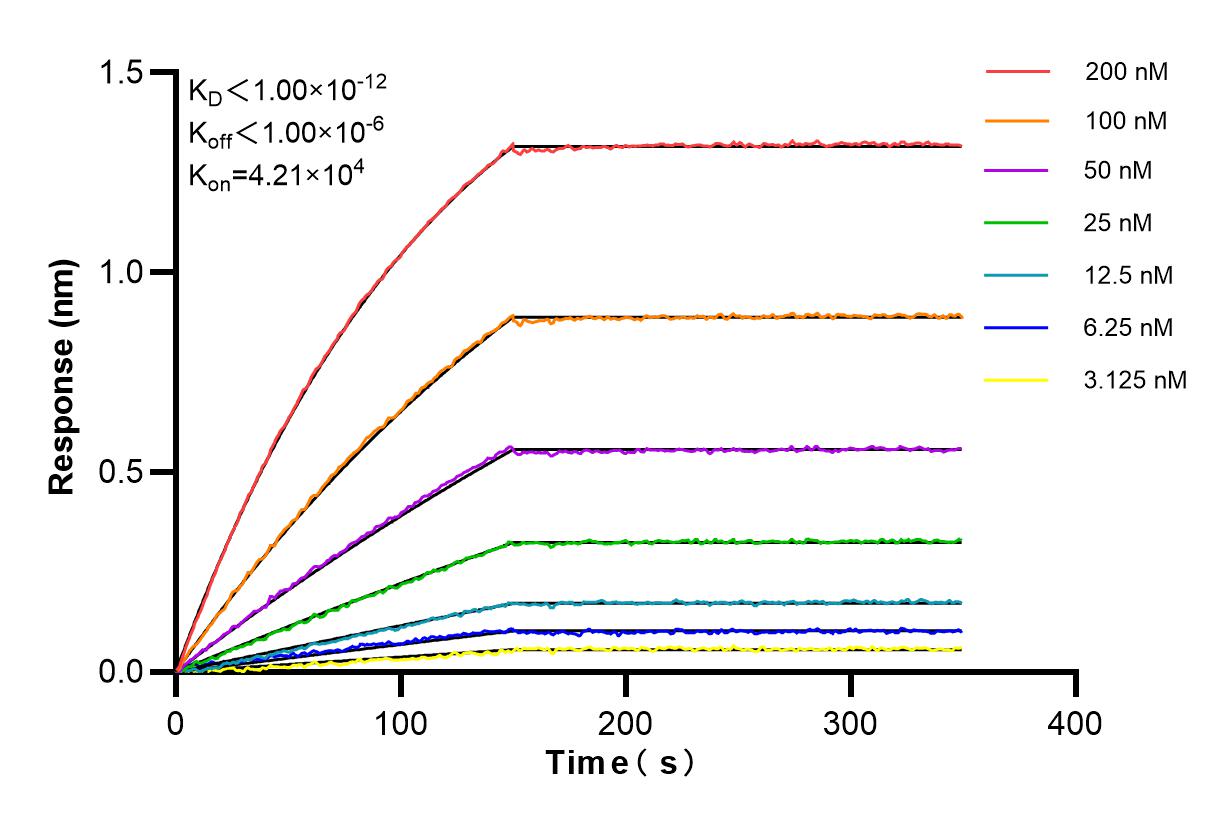 Affinity and Kinetic Characterization of 84837-1-RR