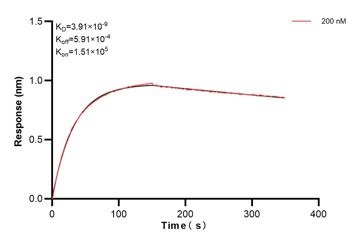 Affinity and Kinetic Characterization of 84854-3-PBS