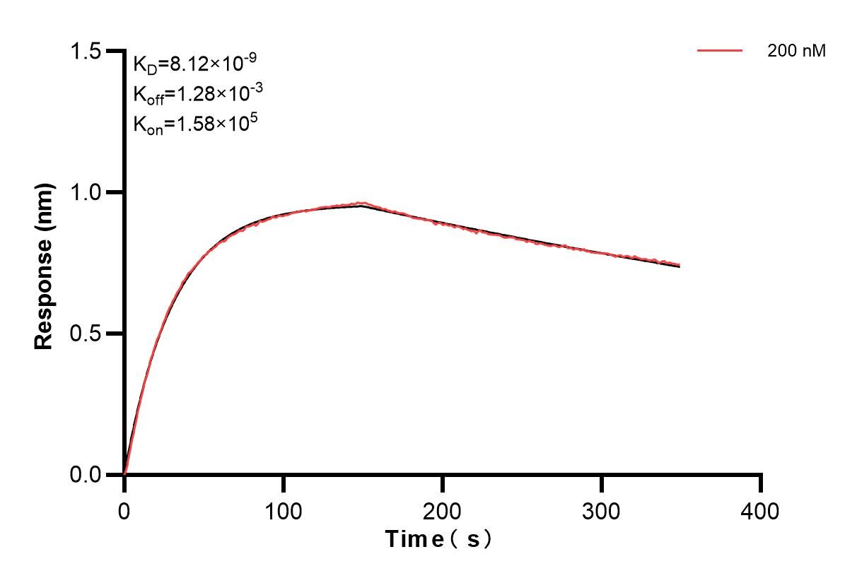 Affinity and Kinetic Characterization of 84854-4-PBS