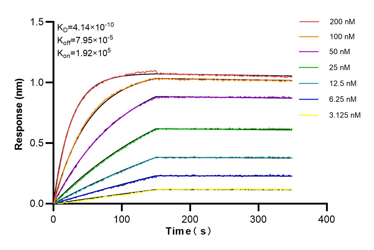 Affinity and Kinetic Characterization of 84859-3-RR