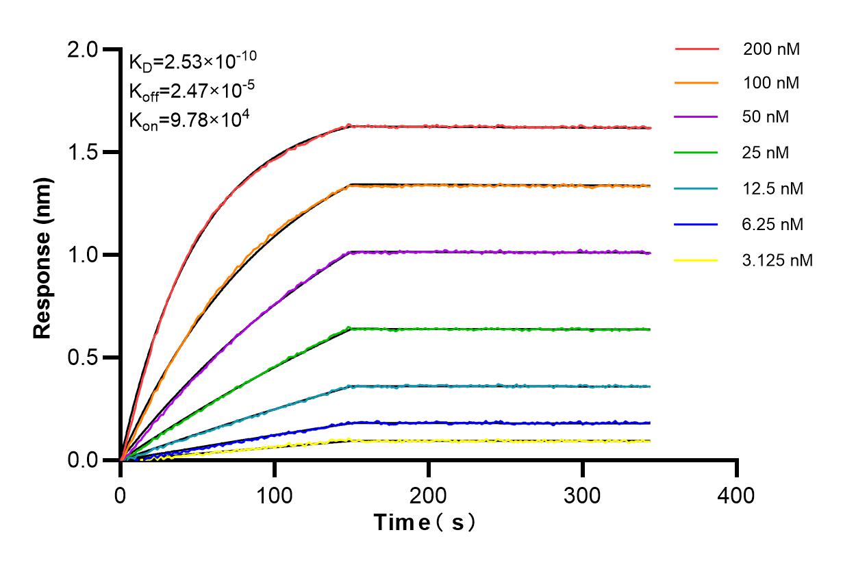 Affinity and Kinetic Characterization of 84871-4-RR