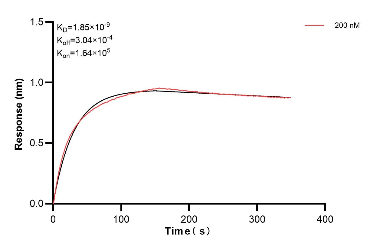 Affinity of 84873-2-PBS