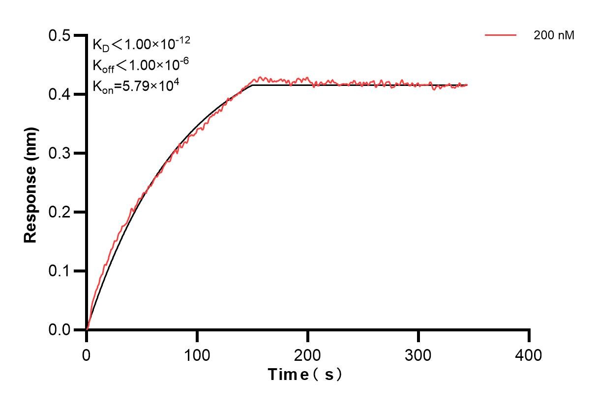 Affinity and Kinetic Characterization of 84882-2-PBS