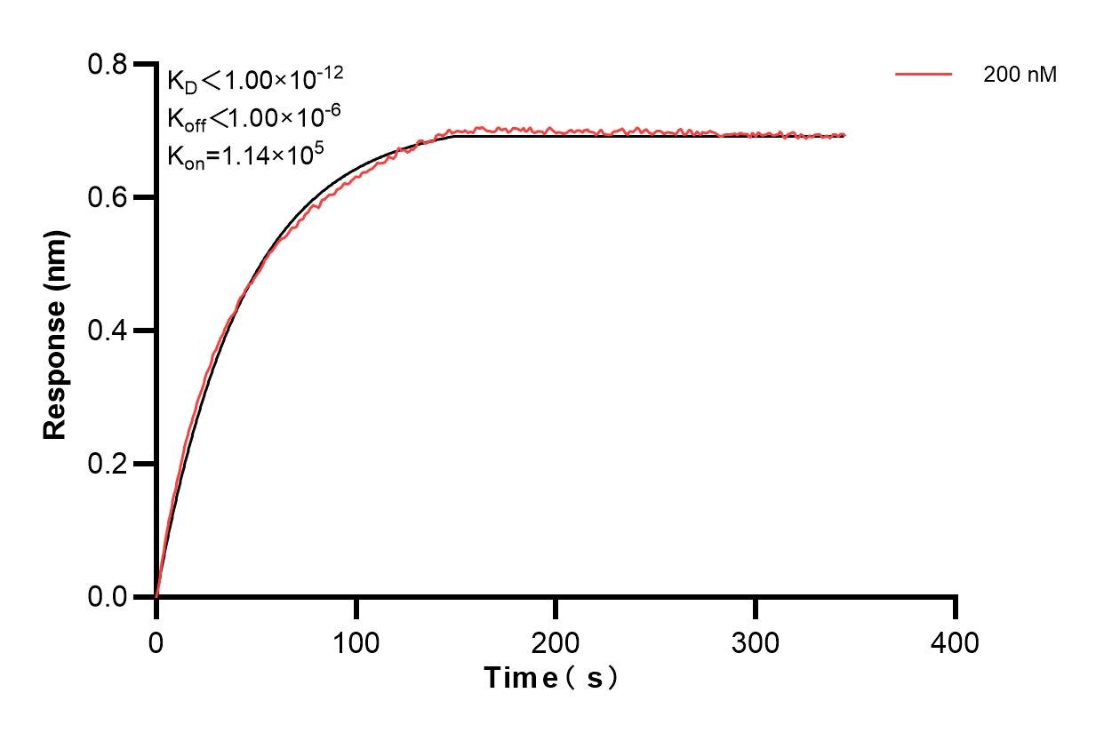 Affinity and Kinetic Characterization of 84882-4-PBS