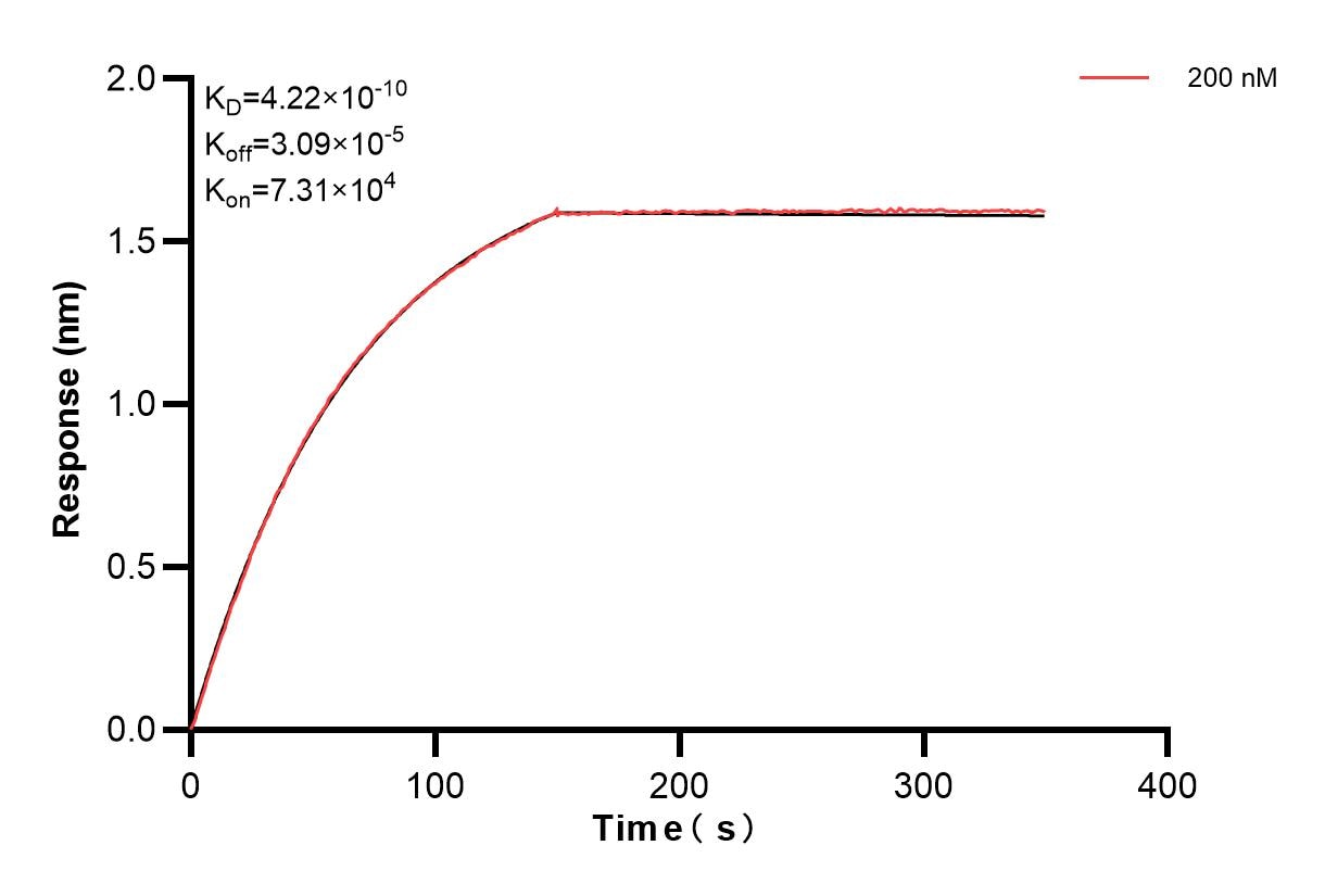 Affinity and Kinetic Characterization of 84883-1-PBS