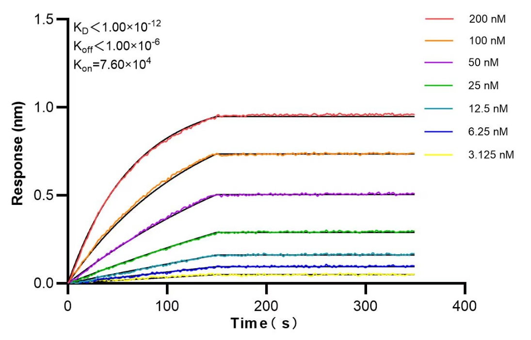Affinity and Kinetic Characterization of 84883-3-RR Affinity and Kinetic Characterization of 84883-3-RR